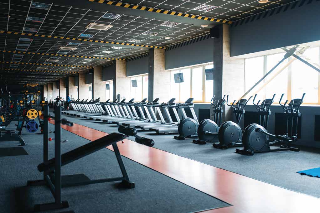 Commercial free weights